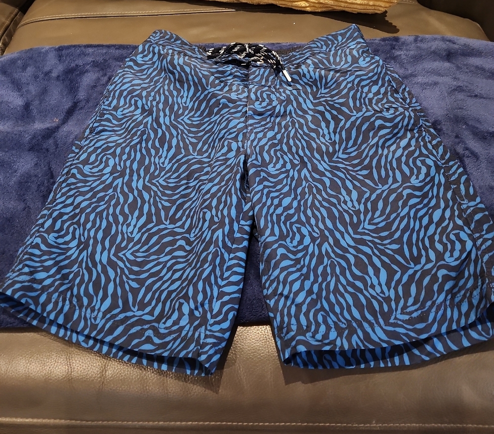 Lands' End Blue Zebra-Print Swim Trunks